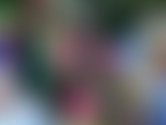 Haiti: voodoo leaders prepare temples for Covid-19 sufferers