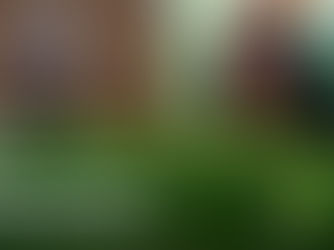 2020 Africa Food Prize goes to Ugandan and Burkina Faso researchers