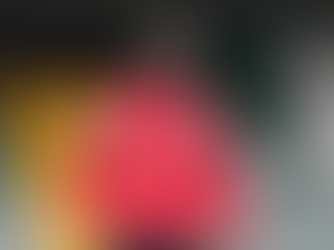 Bristol City striker Diedhiou subjected to online racial abuse