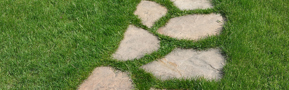 kiemo priežiūra profesionali Scandicclean