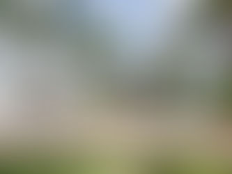 Where Can I Find the Best Custom Home Builder in Jacksonville? | Apex Homes Florida