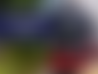 De Koerier febr. 2026Deel 1