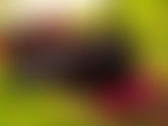 De Koerier mei 2024 Deel 5