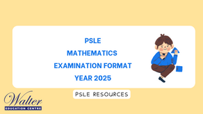 Understanding the PSLE Mathematics Examination Format and Tips for Success