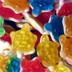 Les tortues lisses - 200gr