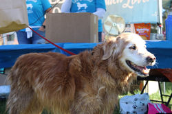 255607624_2184031781750097_208489244595146564_n