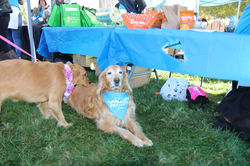 255437421_2184030748416867_3876108481033596617_n