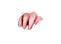 mouse hand.png