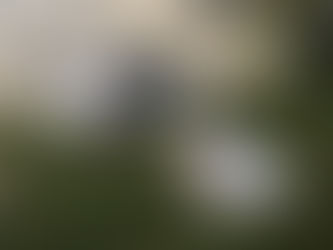 Environmentally Friendly Back-to-School Season