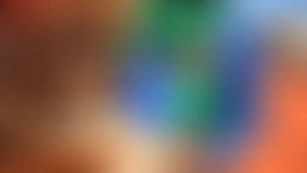 La tête de vache (Misikunkolo)