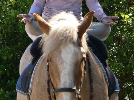 Trying so hard? Try this instead...