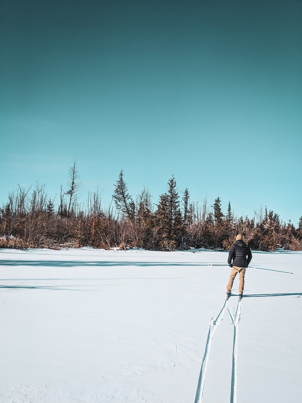 Cross country skiing in Northern Michigan.