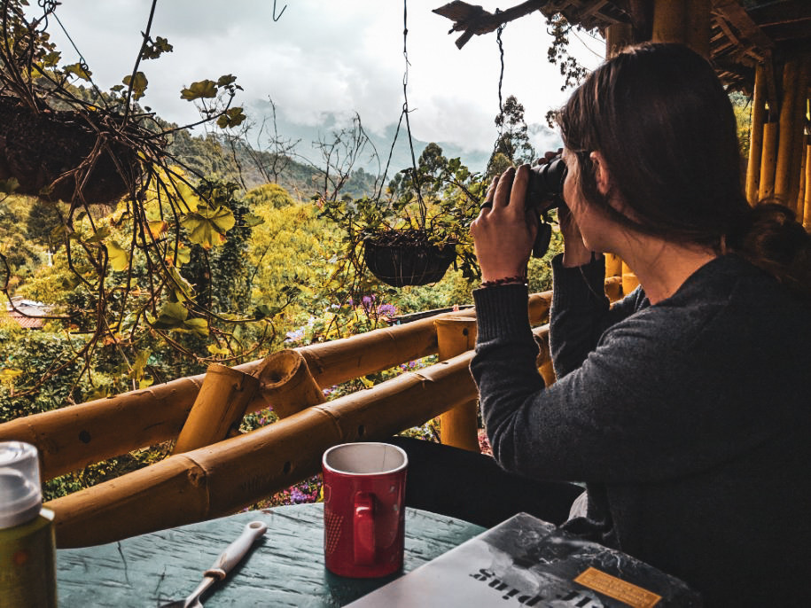 Birdwatching in Jardin, Colombia.
