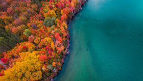9 Things to do in the Petoskey Area This Fall