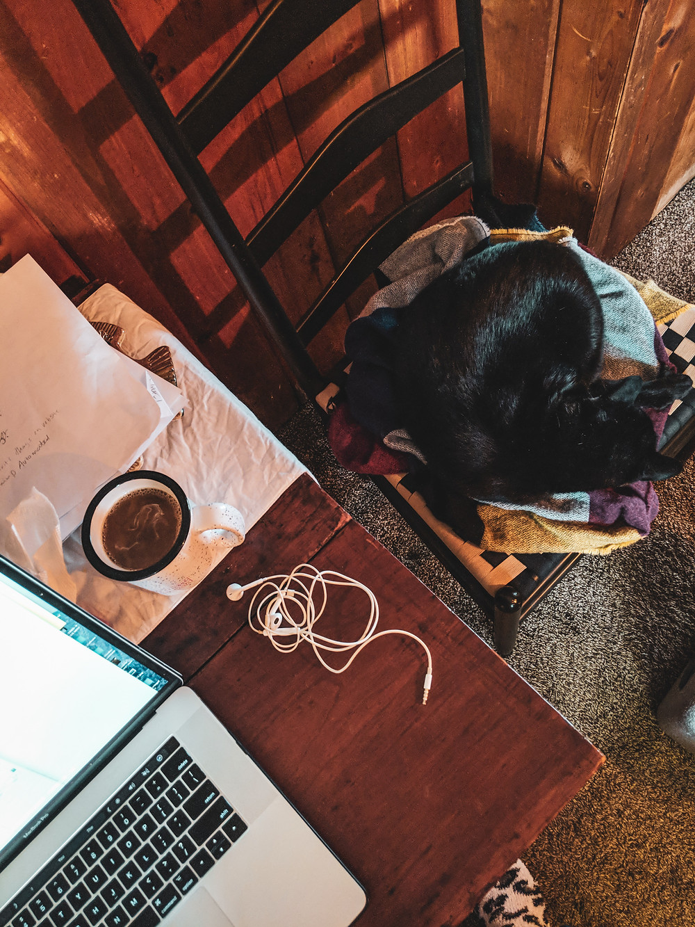 Gibson our cat curled up beside me while I work.
