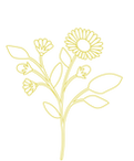 EDS logo Teal and yellow.png