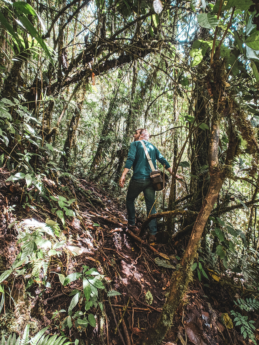 Hiking in the jungle of Jardin, Colombia.
