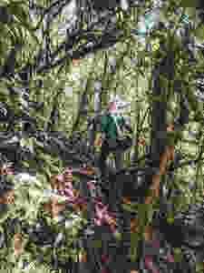 Hiking in the jungle of Jardin, Colombia.