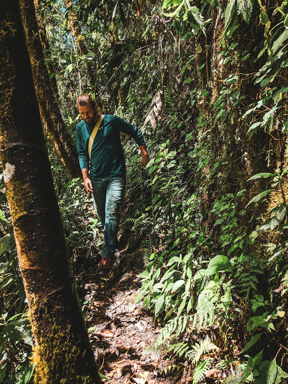 Hiking in the mountains of Jardin, Colombia.