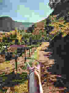Riding horses in the mountains of Jardin, Colombia.
