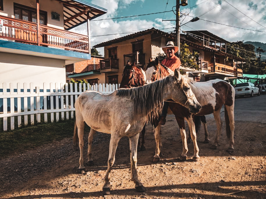 Horses in Jardin, Colombia.