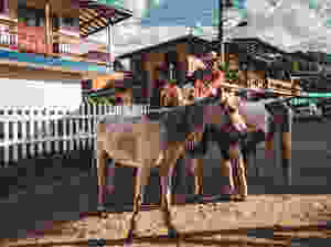 Horses in Jardin, Colombia.
