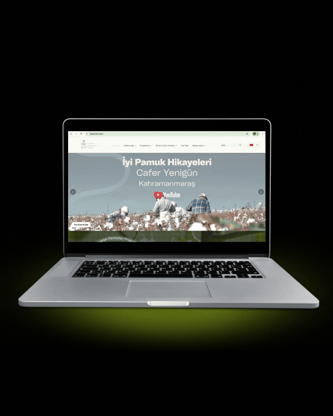 ipud website.gif