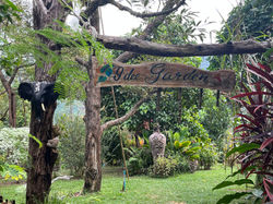 Mr Dee Chilling Hill Samui