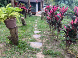 Mr Dee Chilling Hill Samui