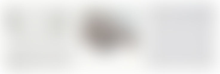 2023年もどうぞよろしくお願いします