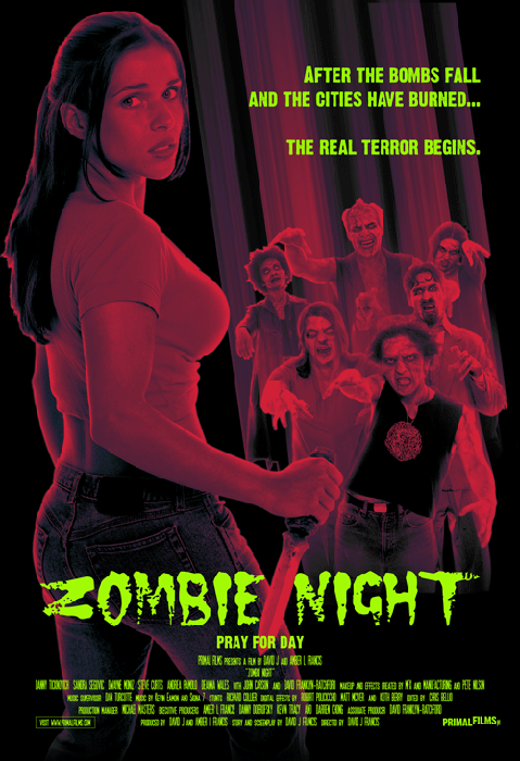 Zombie Night Poster