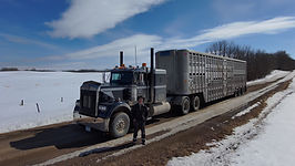 S1003405_screenshot (1).png