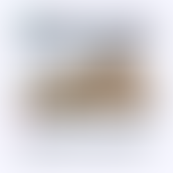 CSR Bill is being introduced to the UK Parliament 