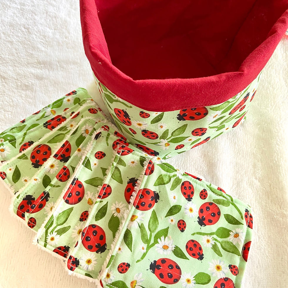 Miniature : Lingettes lavables imprimé coccinelles