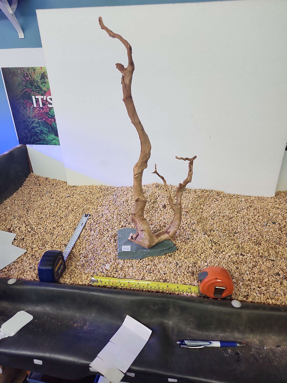 Woodslate WS17 [10x10x25]