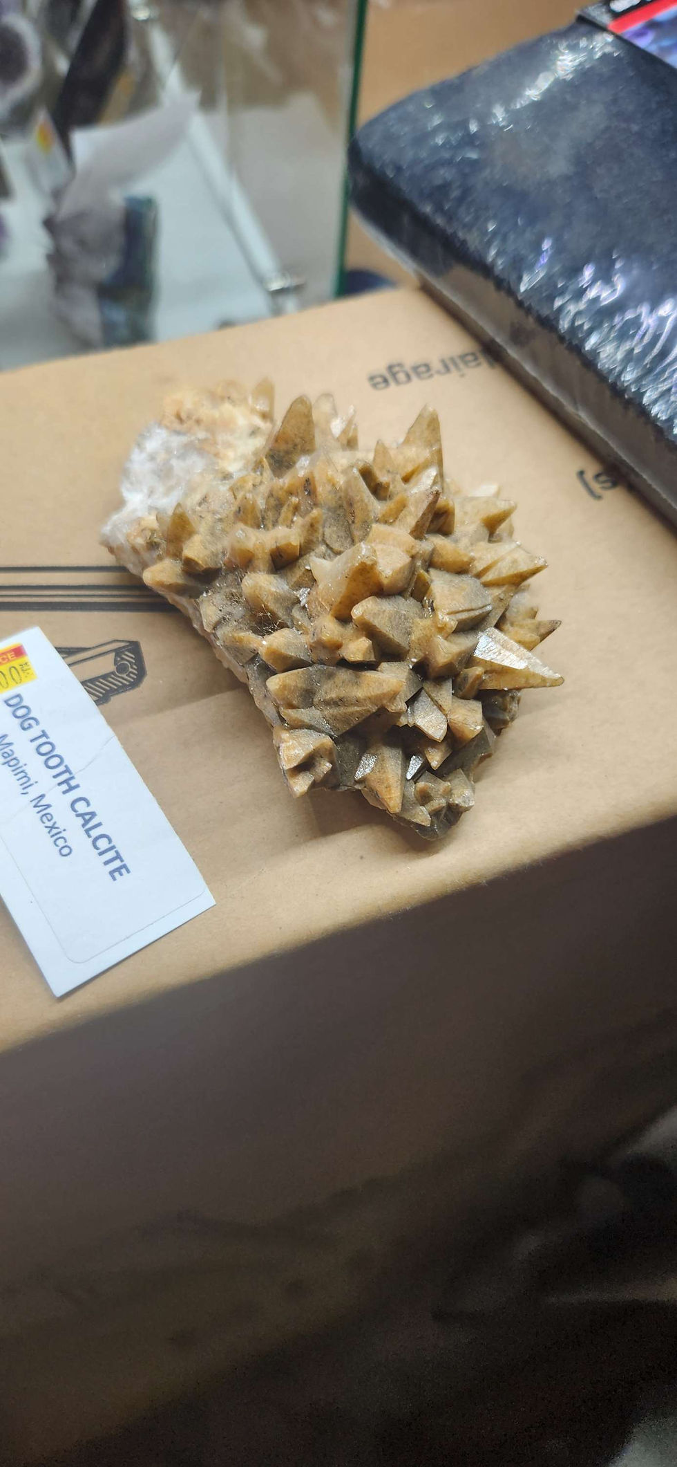 Thumbnail: Dragon tooth Calcite