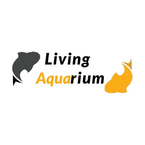 Living color fish store cheap