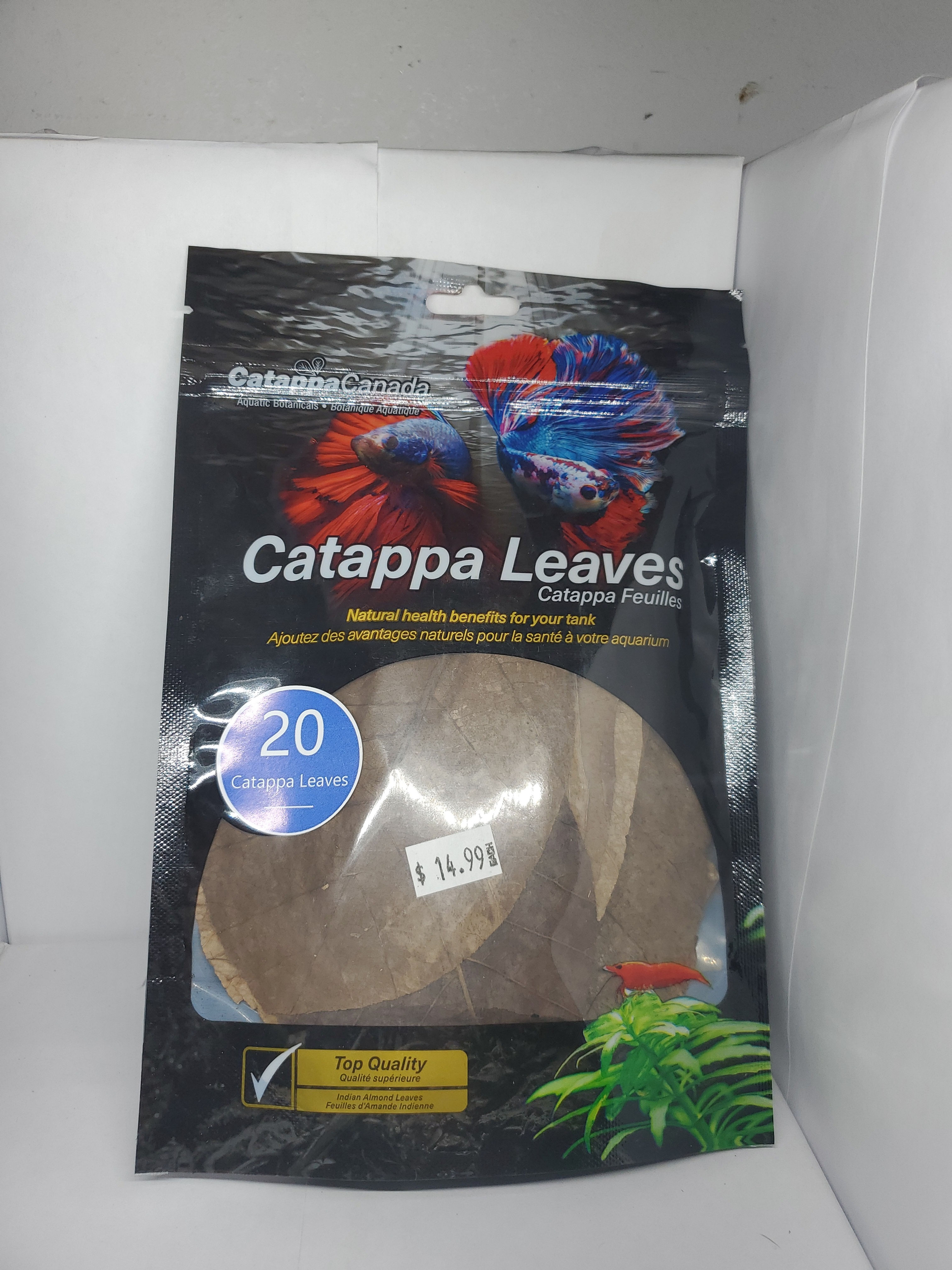 Catappa Leaves 20pc
