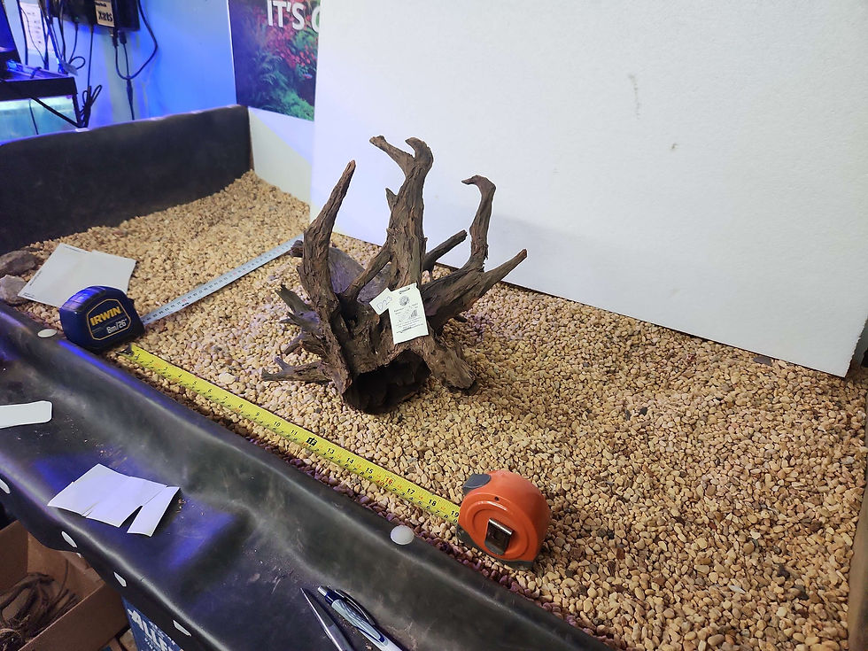 Thumbnail: Driftwood D23 [19x15x13]