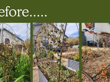 Thank You to all who helped clean up our garden!