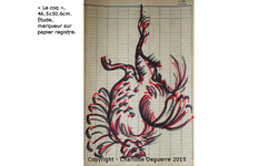cocotte14