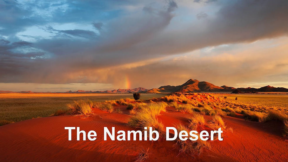 Image result for NAMIBIA DESERT