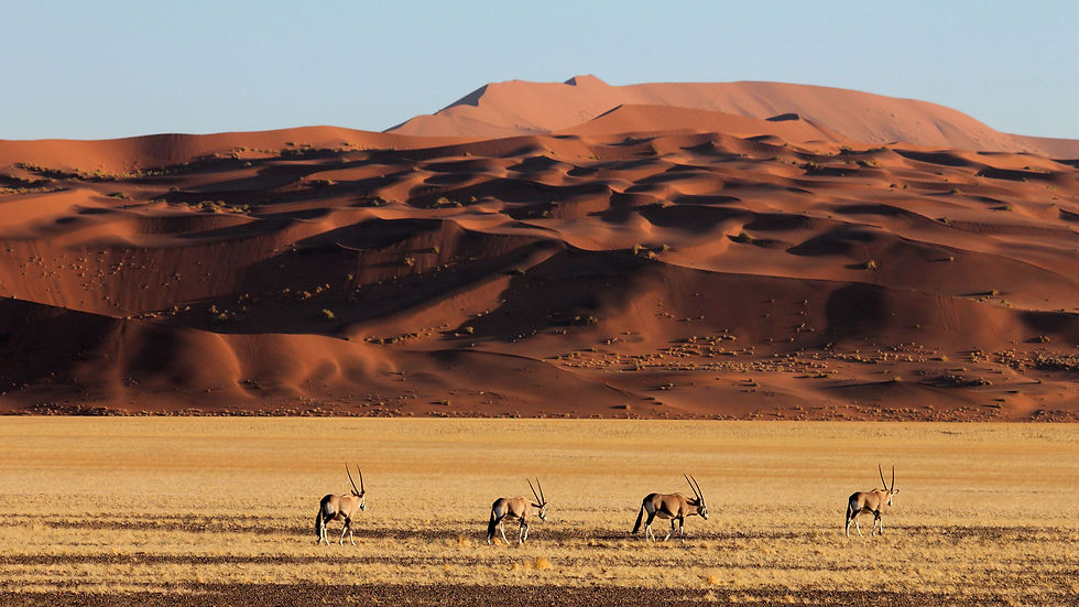 Image result for sossusvlei