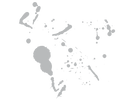 Paint Splatter_04ServicesPage-01-01-01-0