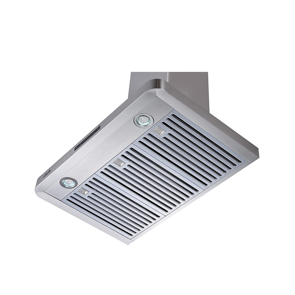 Thumbnail: 900 CFM Wall Mounted Chimney Model# RXN-W12BSA-30
