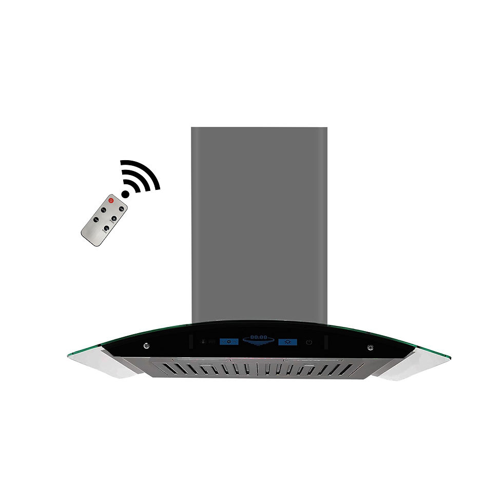 900 CFM BLACK Stainless Steel Wall Mounted Range Hood Model RXN