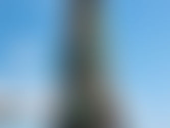 Árvore de Natal de resíduos no Peró