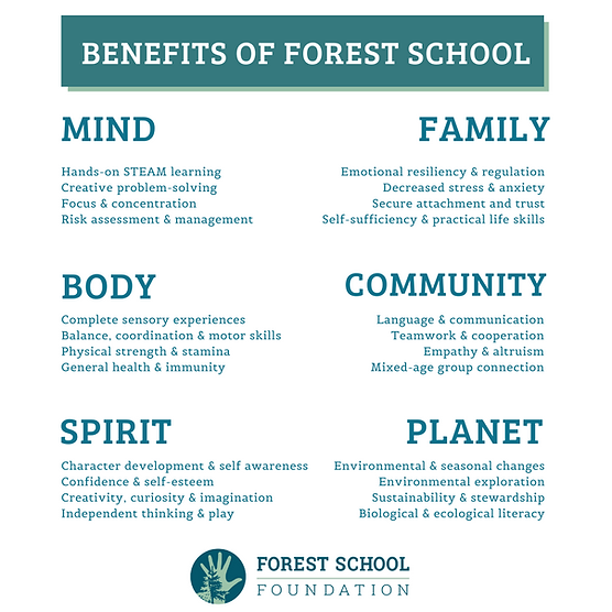Forest School Benefits (3).png