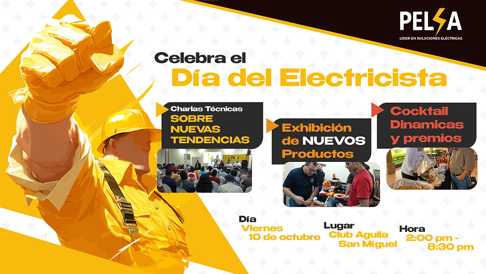 PELSA DÍA DEL ELECTRICISTA 2025 SAN MIGUEL