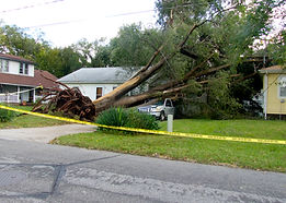 StormDamage1_2.jpg